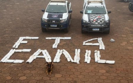 Polícia apreende 67 quilos de skunk escondidos em tanques de carreta