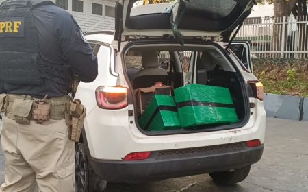 Veículo com mais de 300 quilos de maconha é apreendido na MS-379