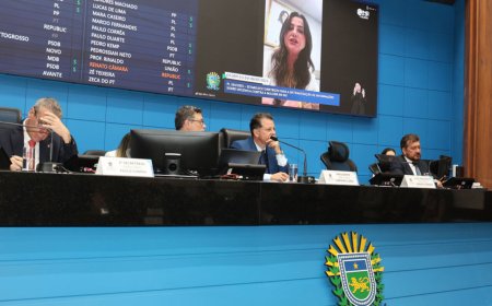 Projetos para Enfrentamento da Violência Contra Crianças e Mulheres São Aprovados