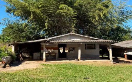 Caseiro é executado a tiros após denunciar SUV com maconha em sítio