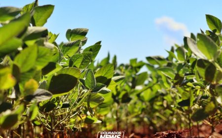 MP de dívida rural foca em perdas climáticas, diz ministro da Fazenda