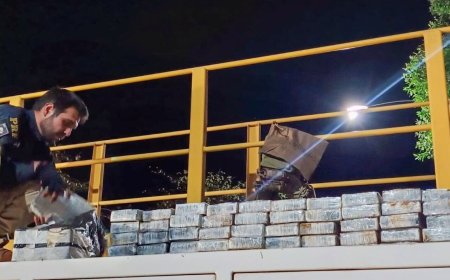 Quase meia tonelada de cocaína apreendida em São Paulo
