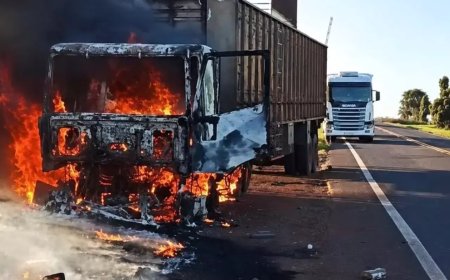 Incêndio em Carreta Boiadeira Causa Transtornos na Rodovia MS-395