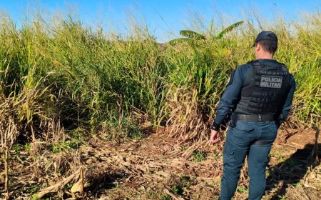 Corpo em avançado estado de decomposição é encontrado entre Dourados e distrito de Itahum