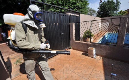 Casos de Chikungunya caem 90% em Dourados