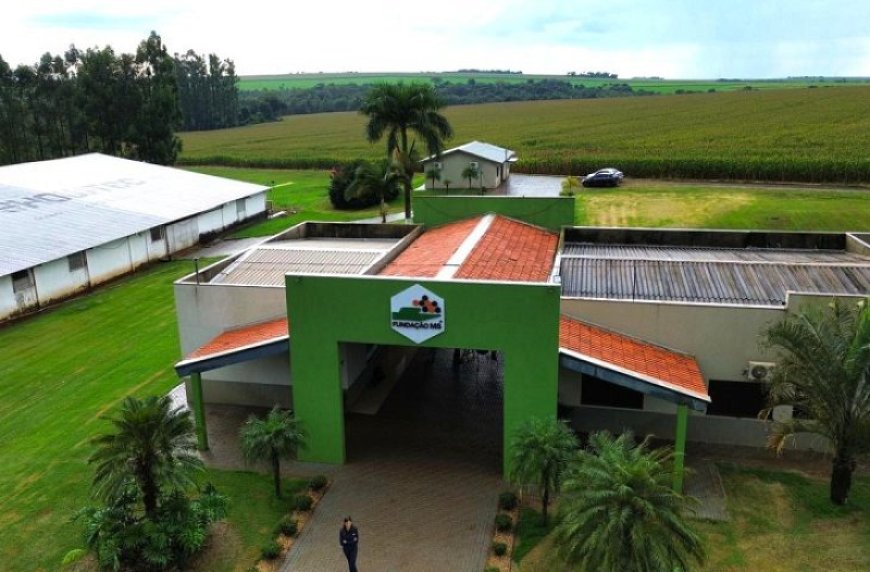 Fundação MS Transforma Ciência em Decisões Mais Seguras para o Agro