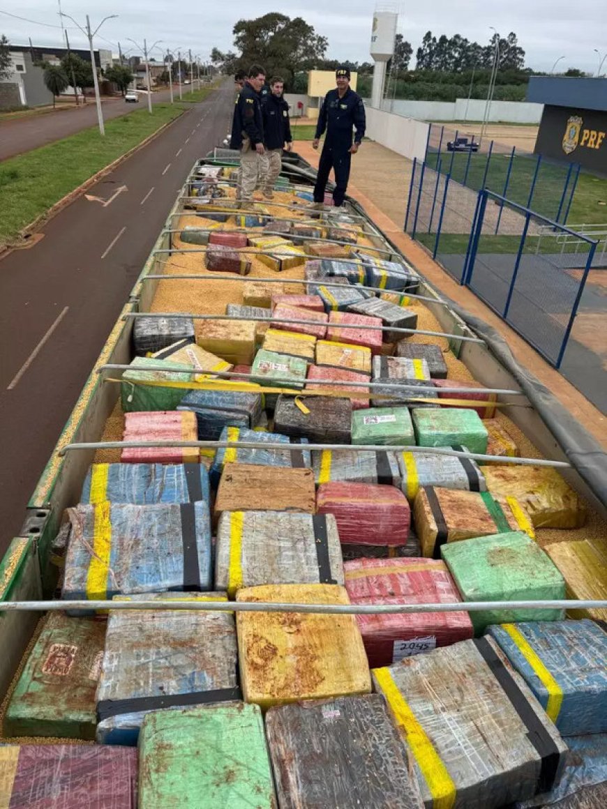 PRF Encontra 6 Toneladas de Maconha Escondidas em Carga de Soja