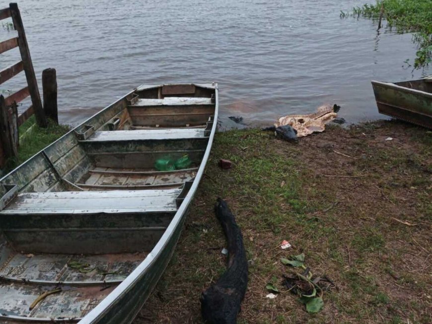 Polícia Desmantela Grupo Suspeito de Crimes Ambientais e Abigeato no Pantanal