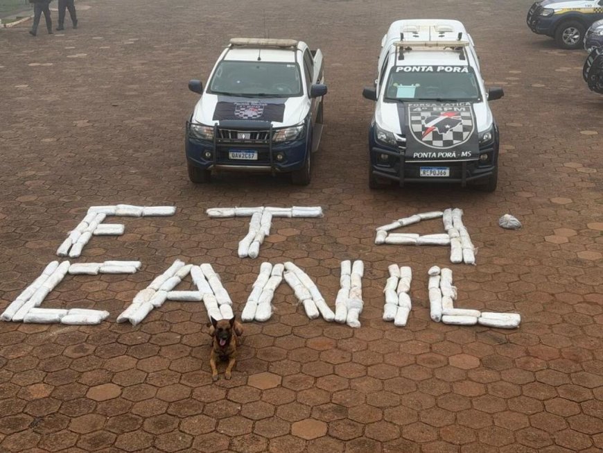 Polícia apreende 67 quilos de skunk escondidos em tanques de carreta