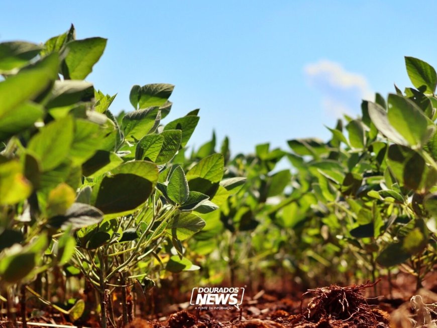 MP de dívida rural foca em perdas climáticas, diz ministro da Fazenda