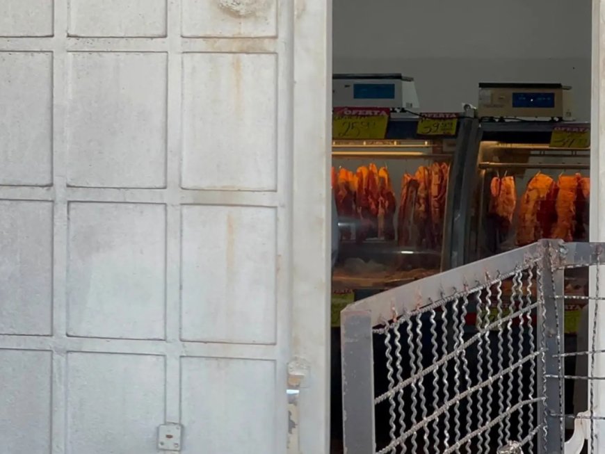 Açougue é interditado após apreensão de meia tonelada de carne estragada