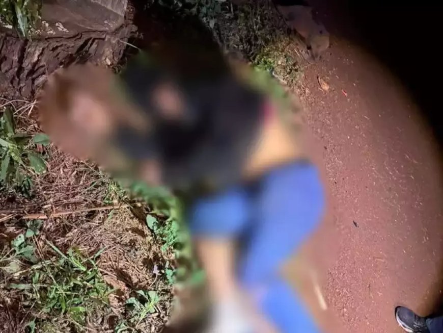 Ciclista morre após ser atropelado na BR-376