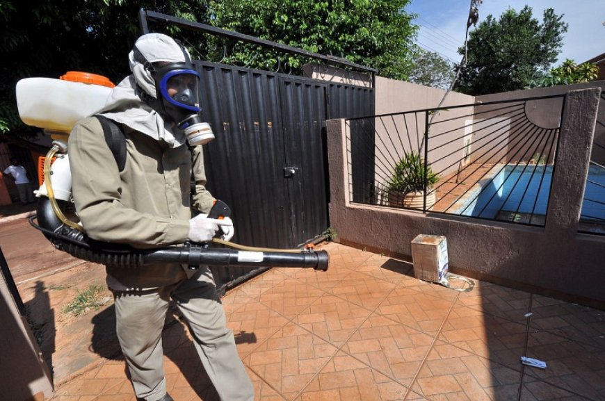 Casos de Chikungunya caem 90% em Dourados